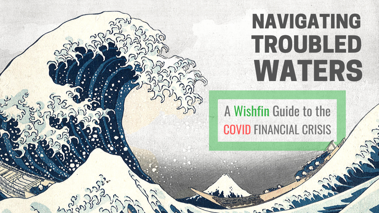 NAVIGATING ROUGH WATERS – FINANCIAL CRISIS-IMPACT, IMPLICATION & RECOMMENDATION